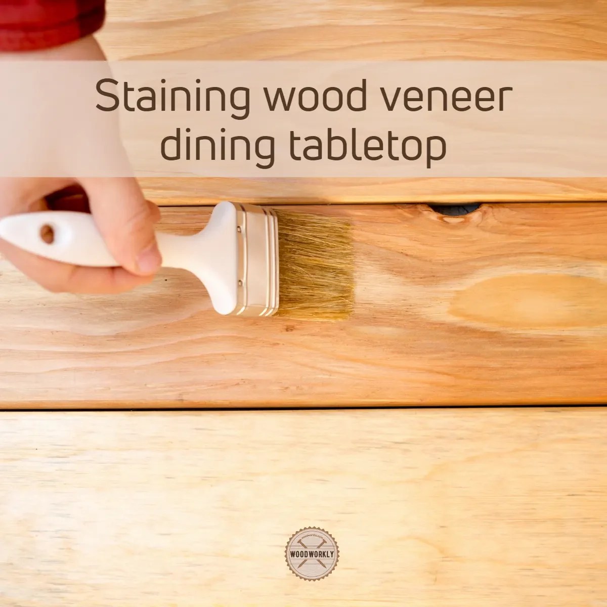 Stain Wood Veneer in 7 EASY Steps! (2024 NEW Guide!)