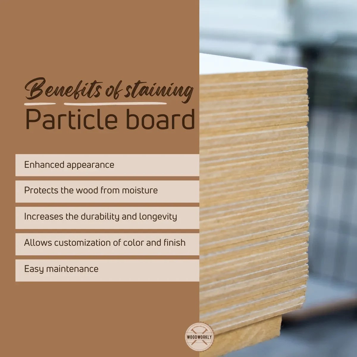 Can You Stain Particle Board? (2023 Ultimate Guide!)