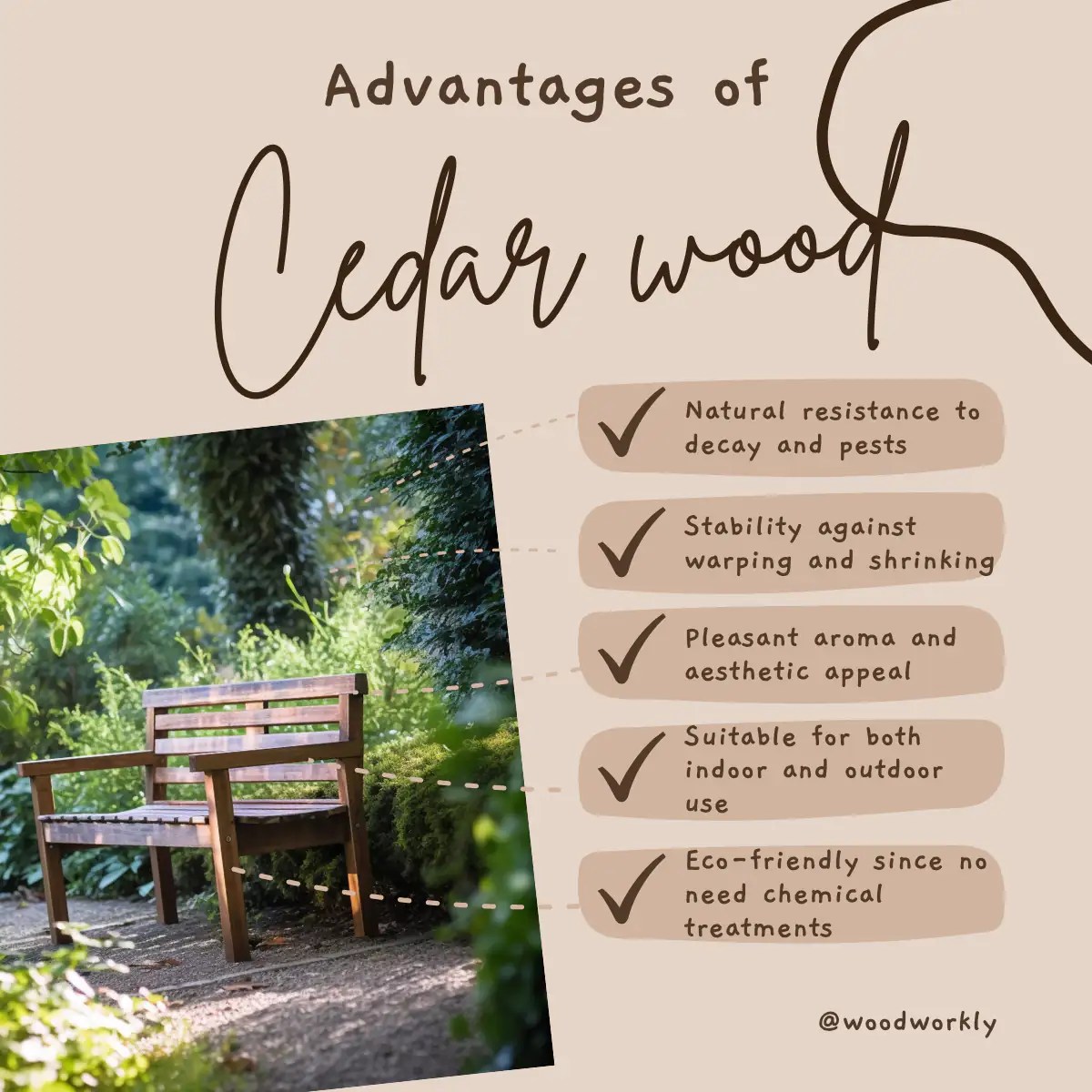 Cedar Wood Is it as Strong as You Think? Garden