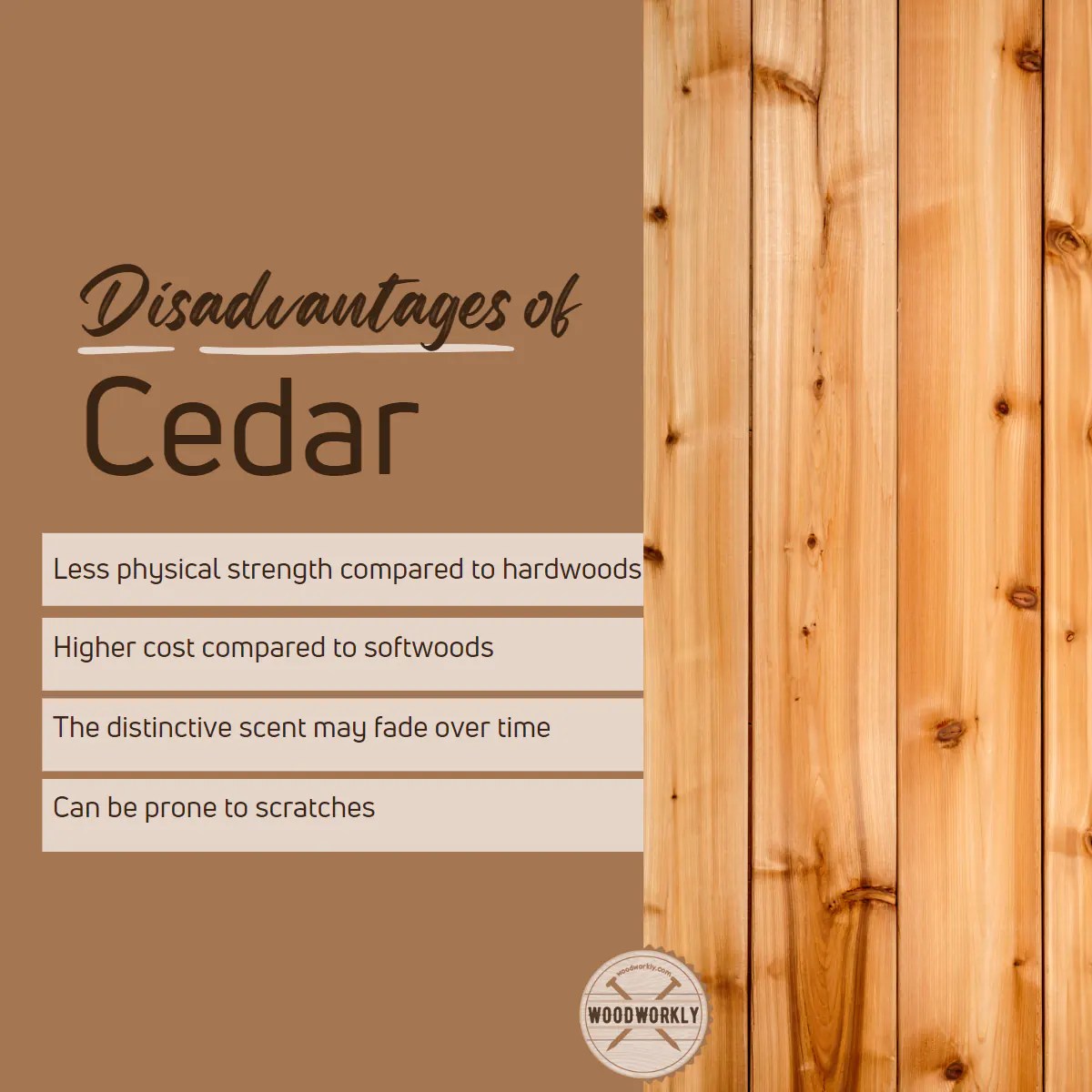 Cedar Wood Is it as Strong as You Think? WoodWorkly