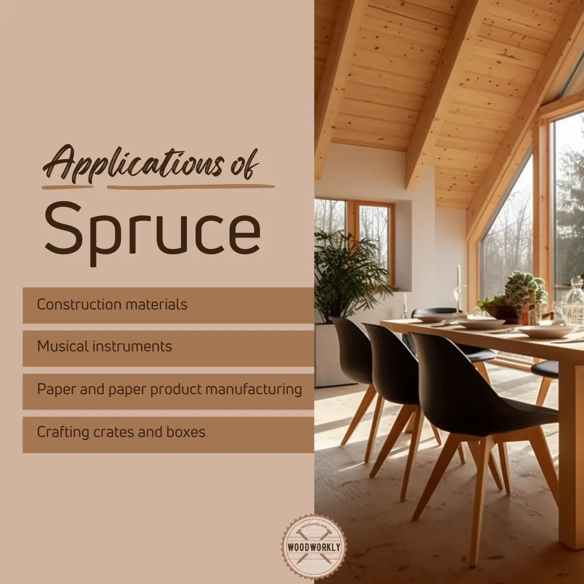 Is Spruce a Hardwood Or Softwood? (2024 Ultimate Guide!)