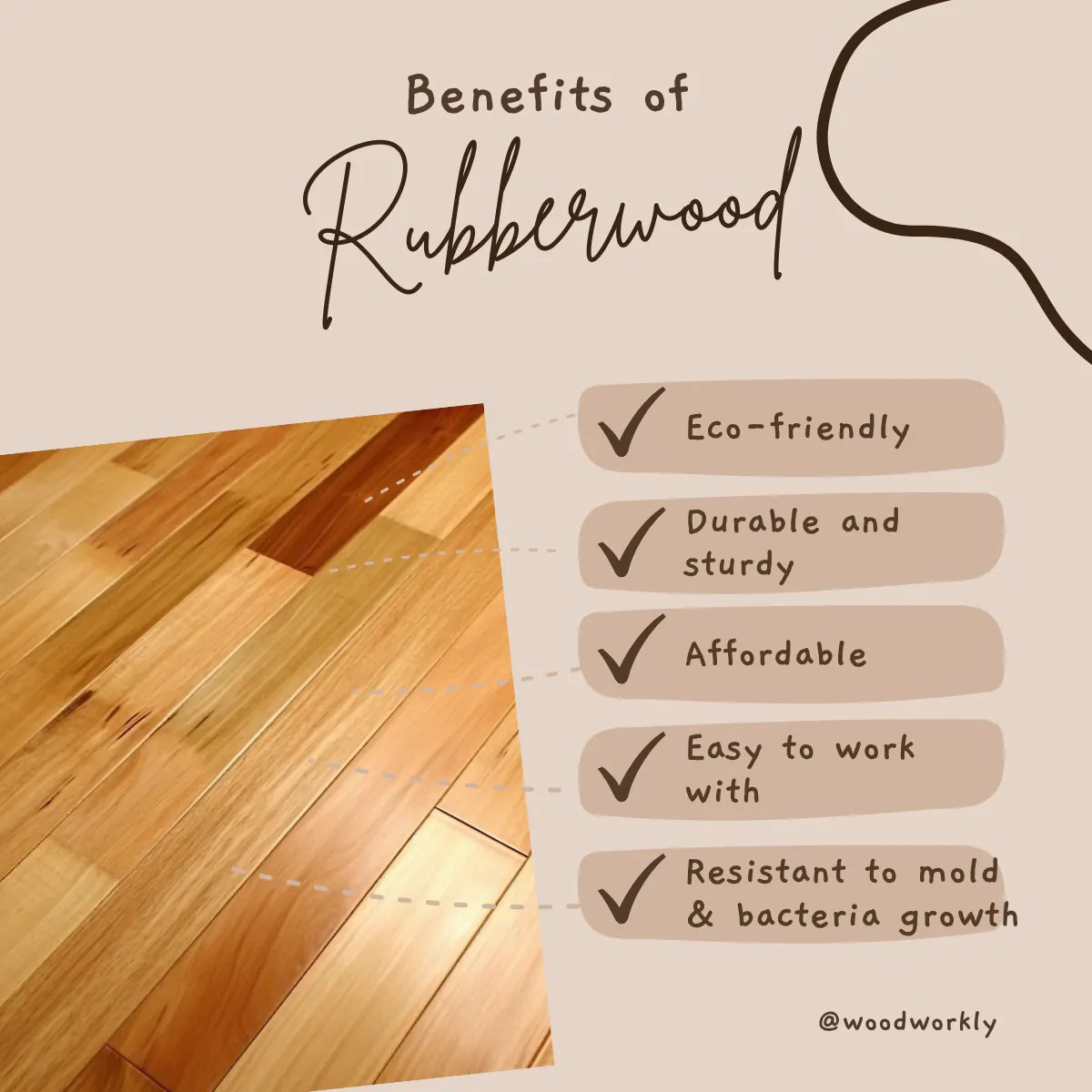 Is Rubberwood Good For Furniture Pros & Cons (2024)