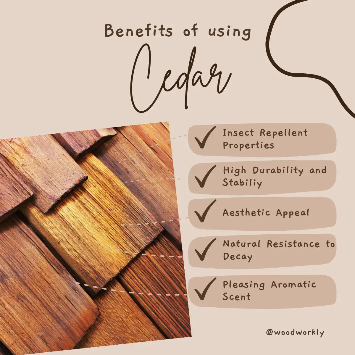 Does Cedar Wood Repel Bugs? (Why do bugs hate Cedar)