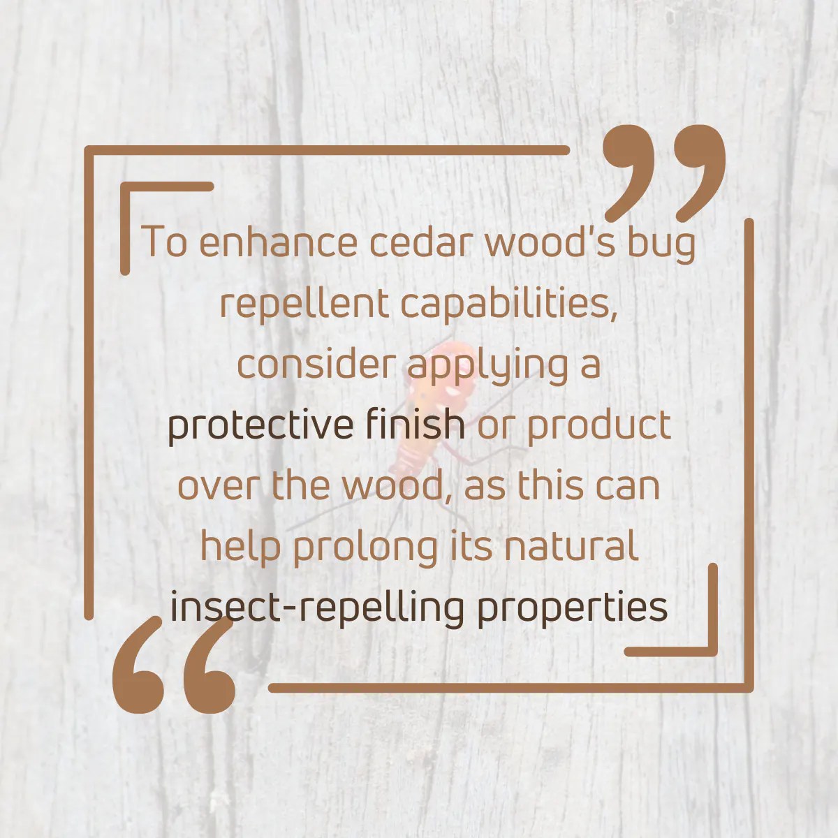Does Cedar Wood Repel Bugs? (Why do bugs hate Cedar)