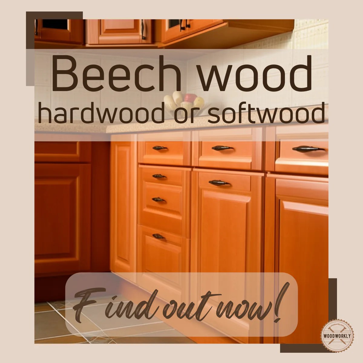 Is Beech a Hardwood Or Softwood? (2023 Guide!)