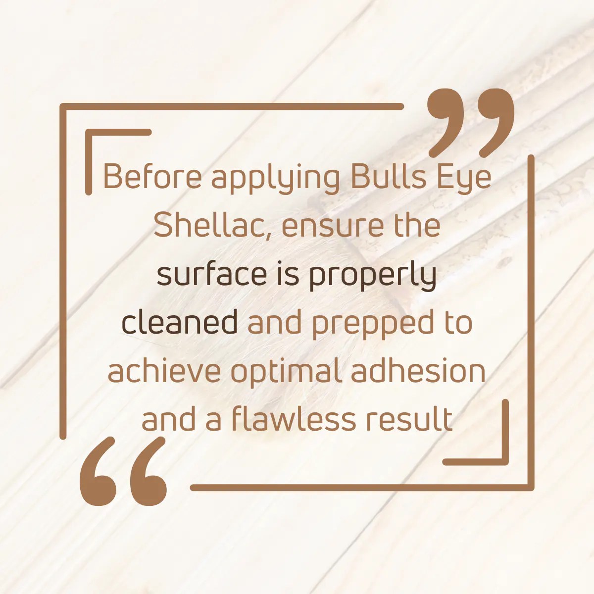 How To Apply Bulls Eye Shellac in 7 EASY Steps! [2023]