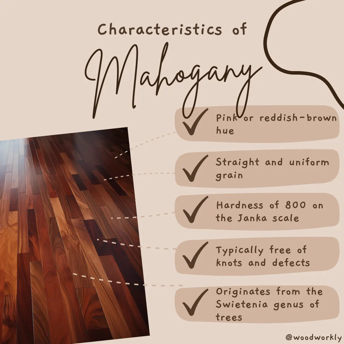 Is Mahogany a Hardwood Or Softwood? [2024 EASY Guide!]