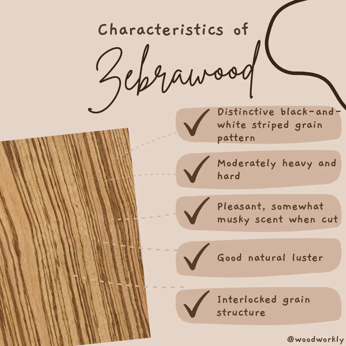 Is Zebrawood a Hardwood Or Softwood? [2023 EASY Guide!]