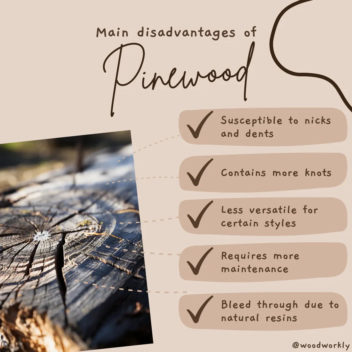 10 Main Disadvantages Of Pine Wood [2024 New List!]