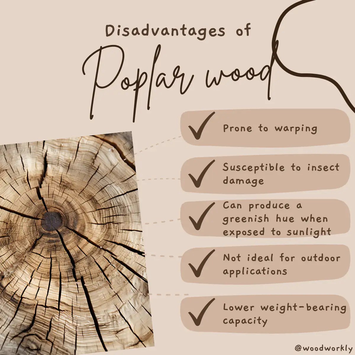15 Main Disadvantages Of Poplar Wood [2023 New List!]