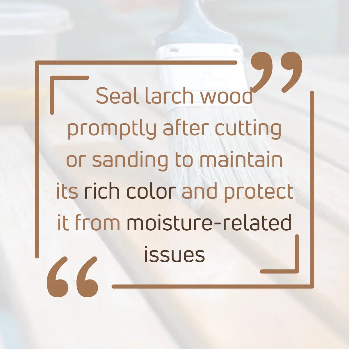 9 Main Disadvantages Of Larch Wood (2024 New List!)