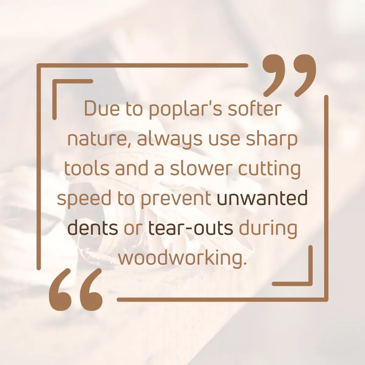 15 Main Disadvantages Of Poplar Wood [2023 New List!]