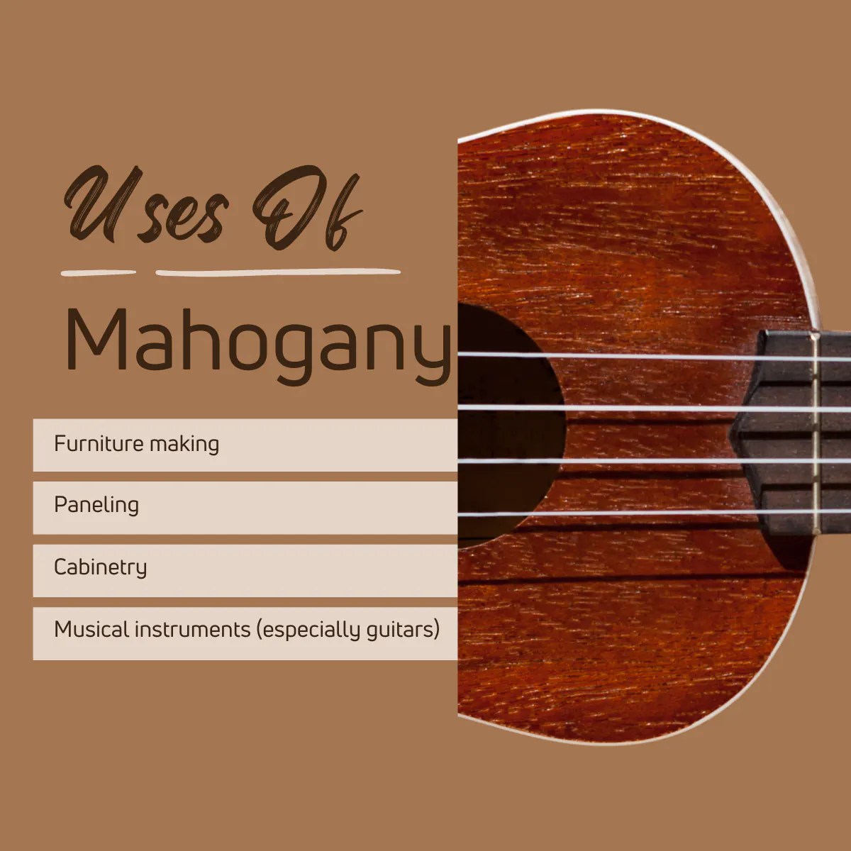 Is Mahogany a Hardwood Or Softwood? [2024 EASY Guide!]