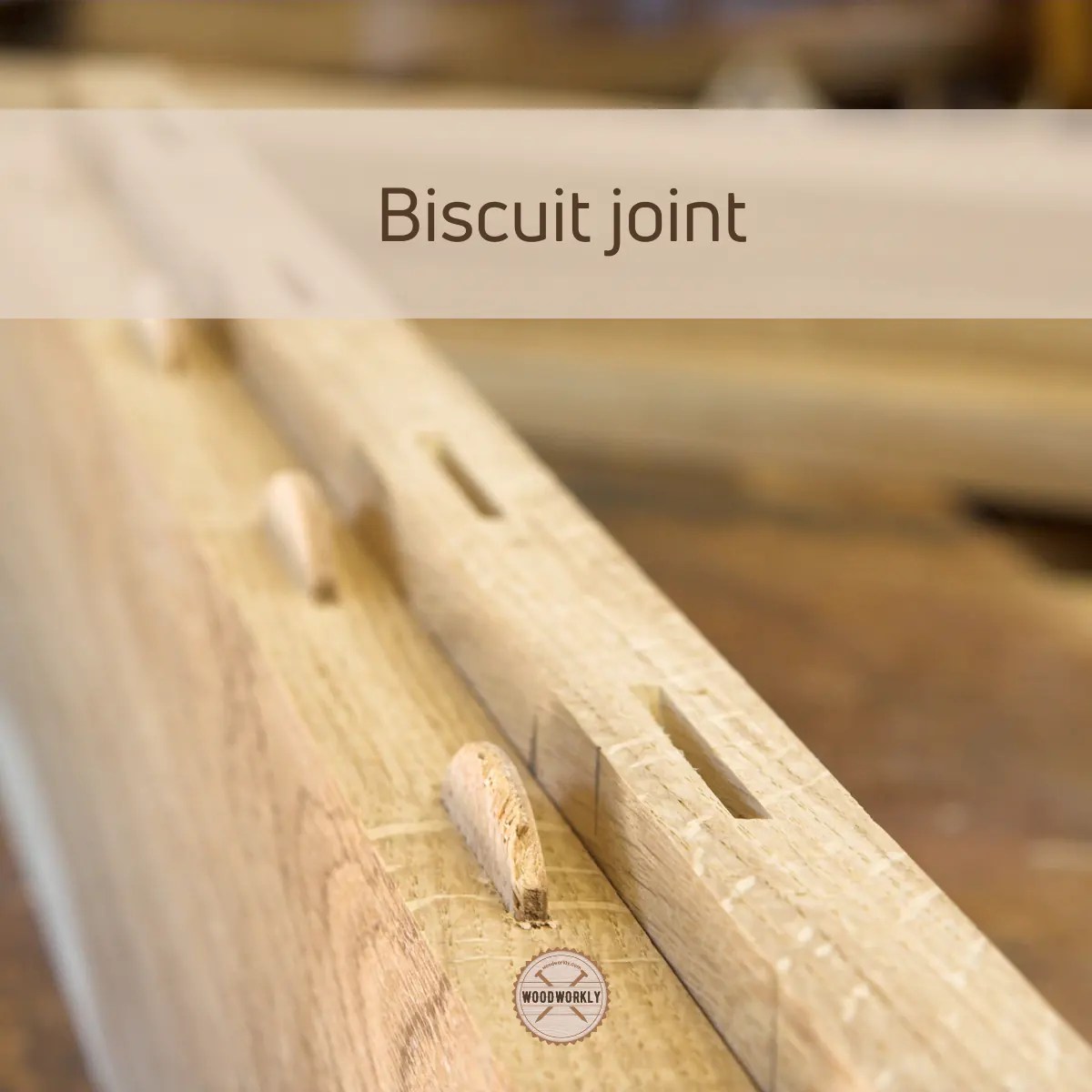 Biscuit Joint vs Dowel Joint Which is Better? (2024)
