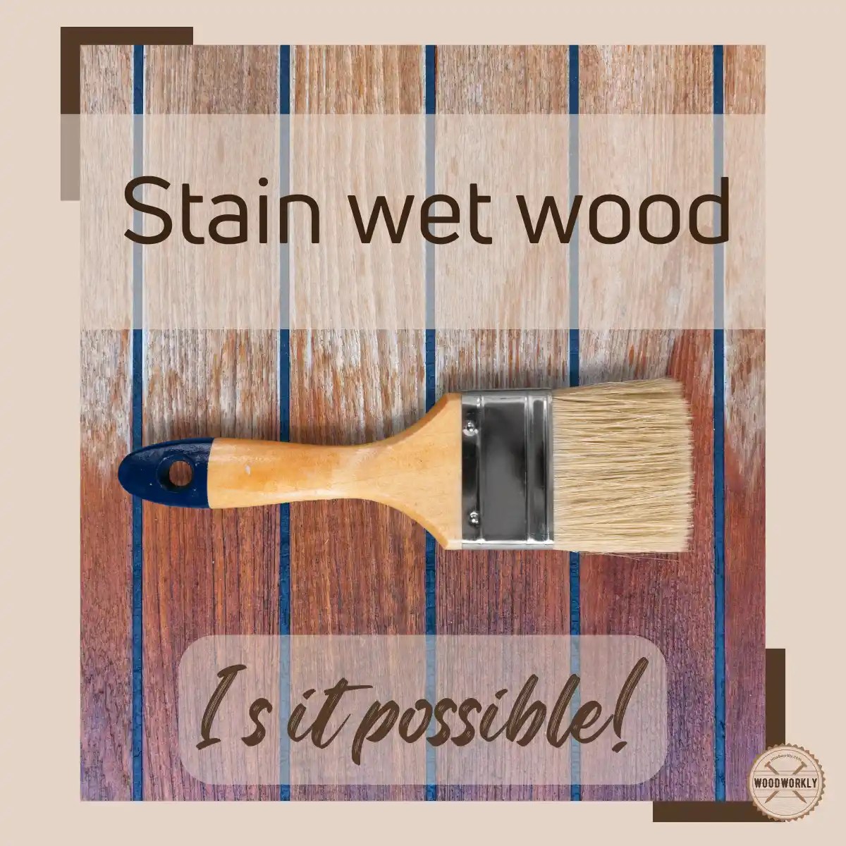 Can You Stain Wet Wood? Here’s the Truth! [2023 Guide]