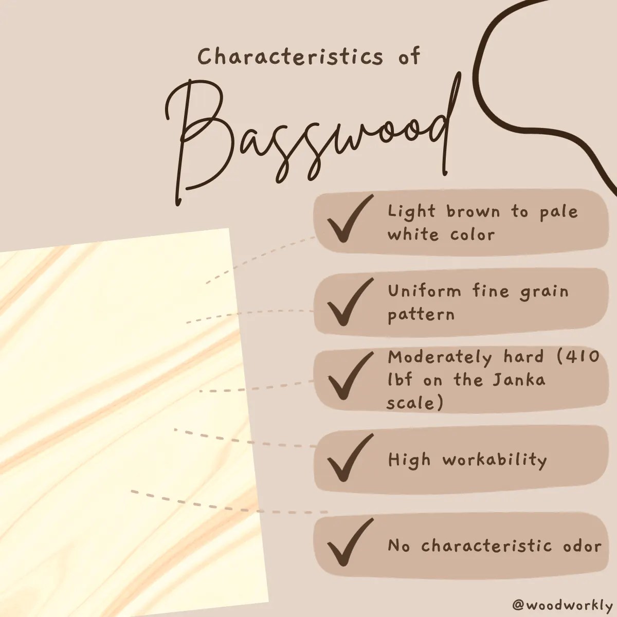 Basswood vs Balsa Which Is Better? (2023 Ultimate Guide!)