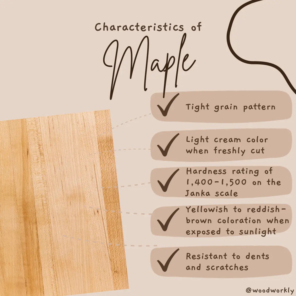 Birch vs Maple Which Is Better? (2024 Ultimate Guide!)