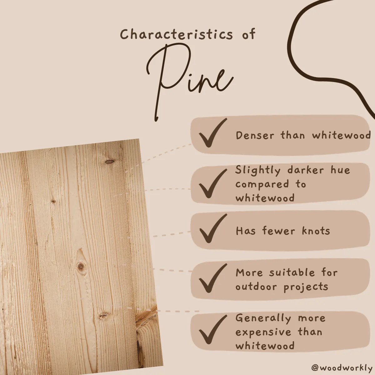 Whitewood vs Pine Which is Better? [2024 Guide!]