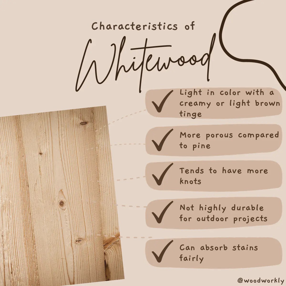 Whitewood vs Pine Which is Better? [2024 Guide!]