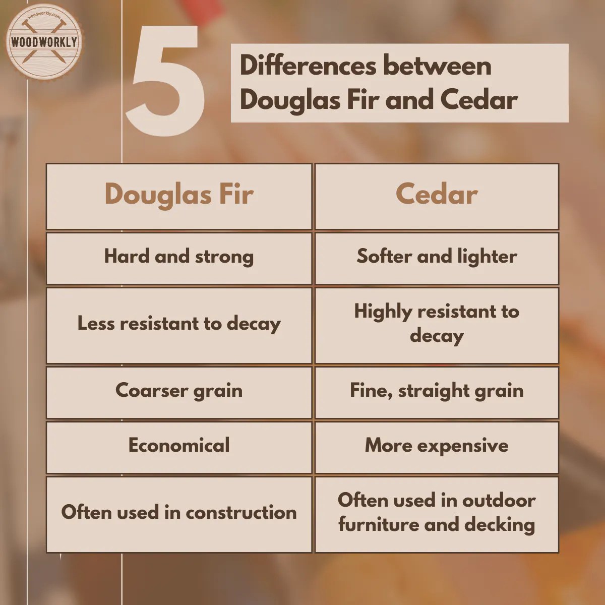 Douglas Fir vs Cedar Which is Better? [2024 Guide!]