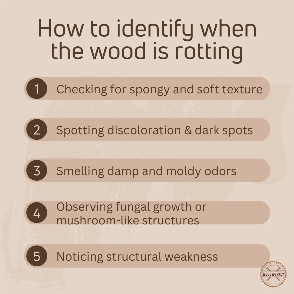 Will Bleach Stop Wood Rot? (2024 Easy DIY Guide!)