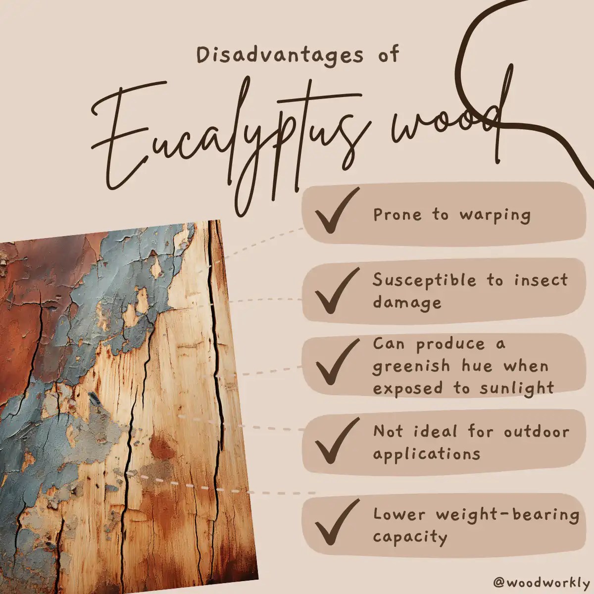 10 Disadvantages Of Eucalyptus Wood [2024 New List!]
