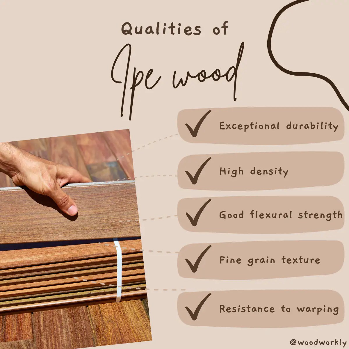 18 Best Wood for Bows [2024 Ultimate Buying Guide!]