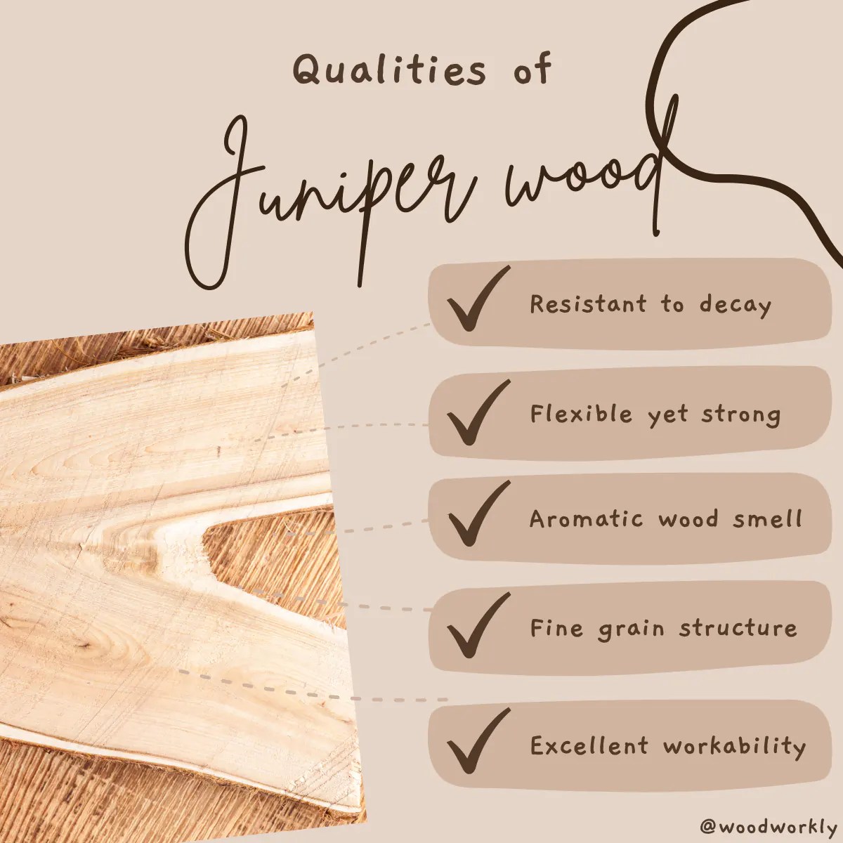 18 Best Wood for Bows [2024 Ultimate Buying Guide!]