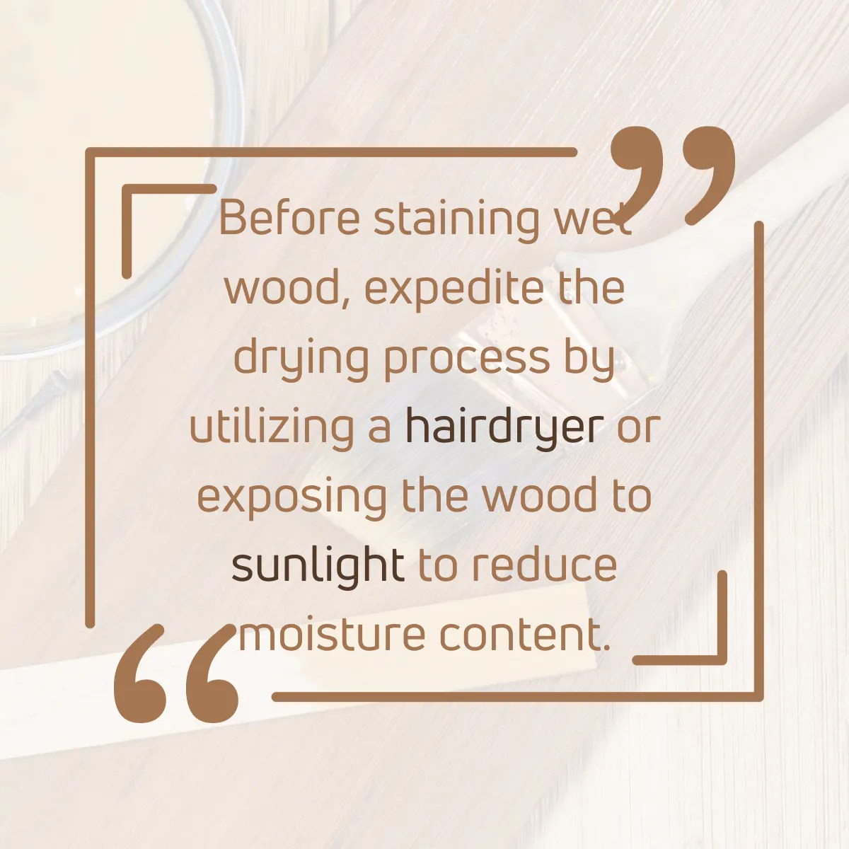 Can You Stain Wet Wood? Here’s the Truth! [2023 Guide]