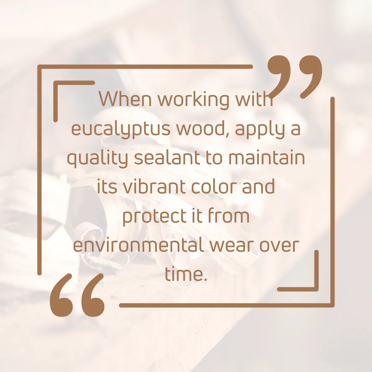 Is Eucalyptus Wood a Hardwood or Softwood? [2024 Guide!]