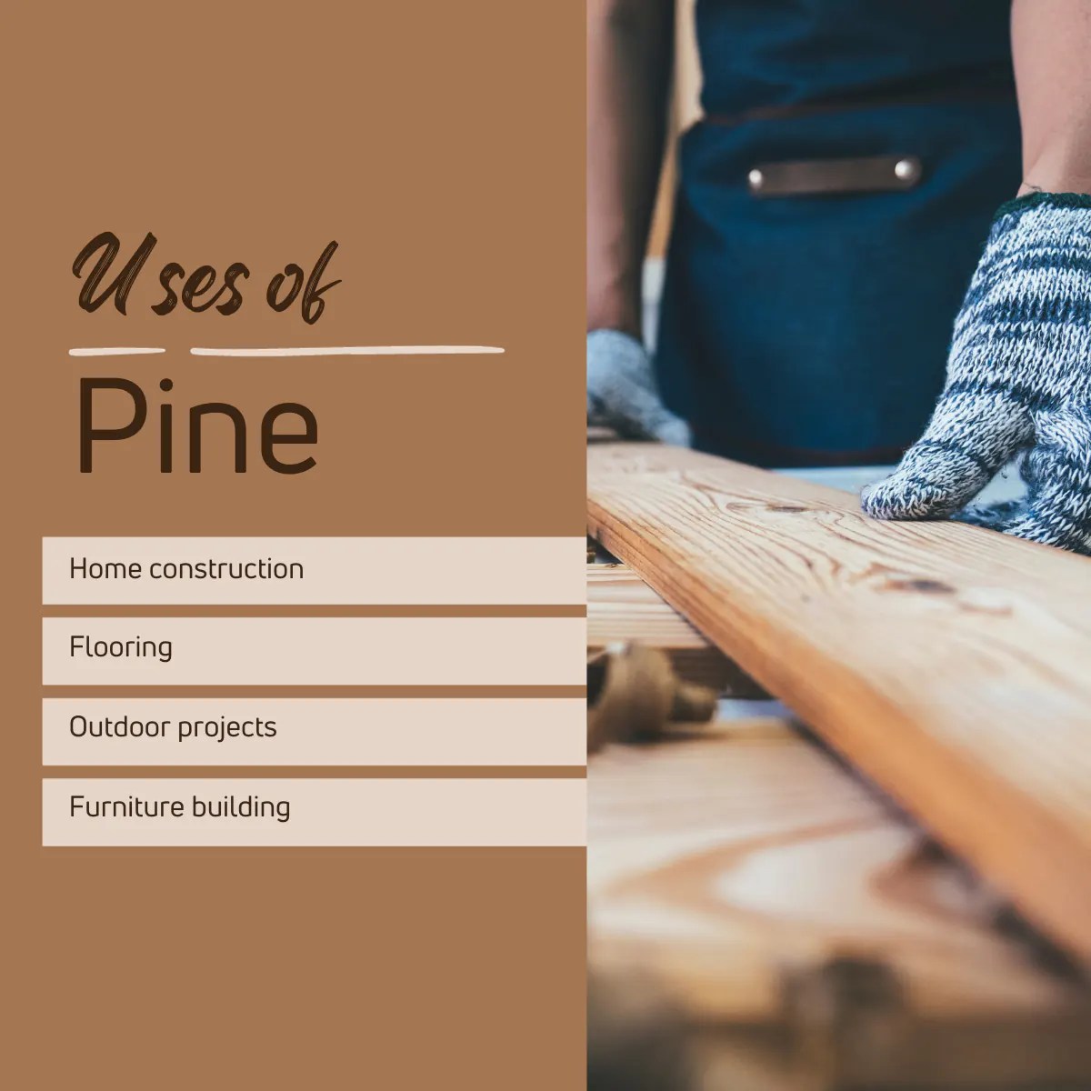 Whitewood vs Pine Which is Better? [2024 Guide!]