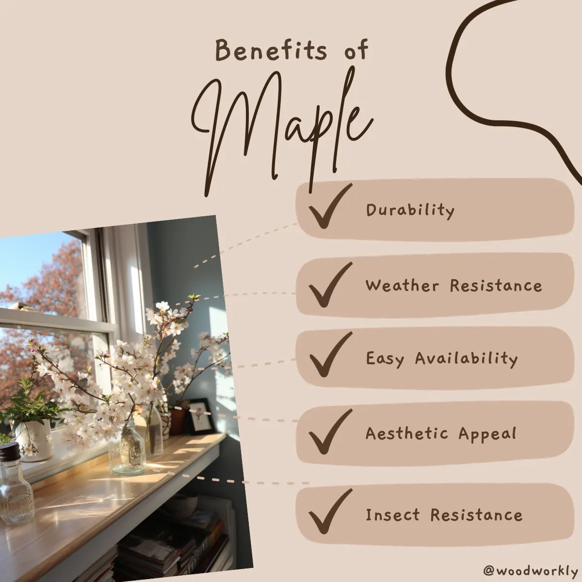 14 Best Wood for Window Sill Replacement (2023 Guide!)