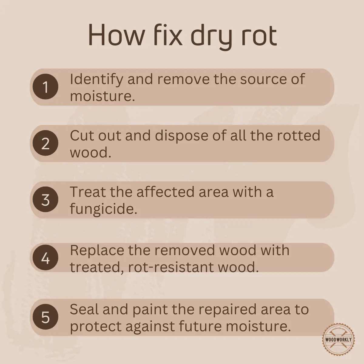 How to Tell if Wood is Rotten (Signs and Easy Fixes!) 2024