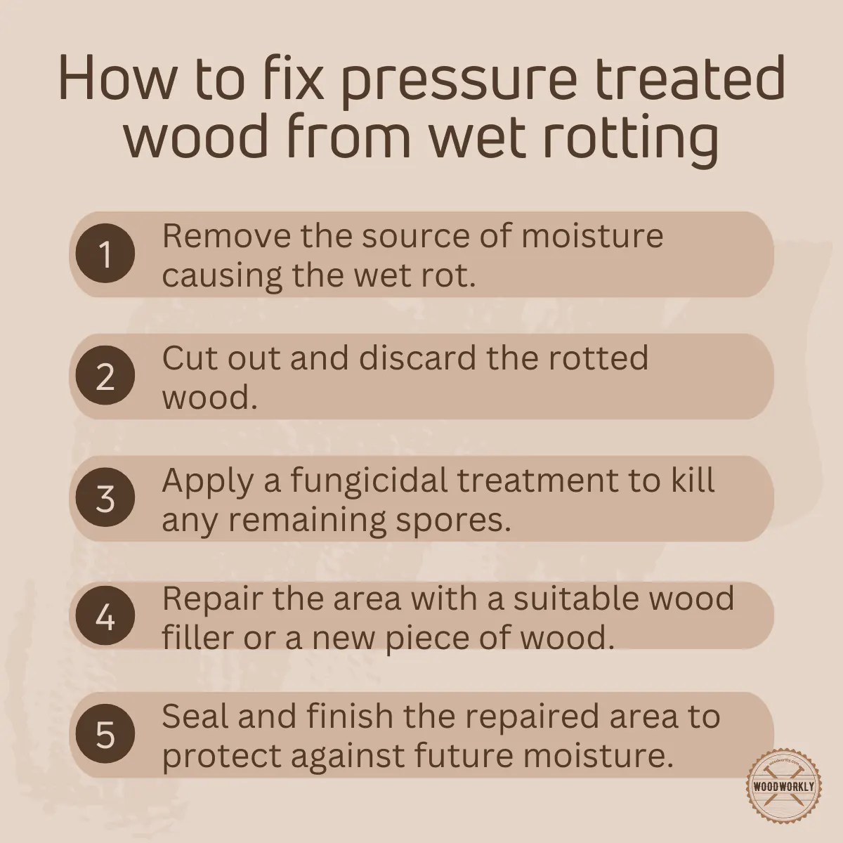 Stop Pressure Treated Wood Rot! (2024 EASY Guide!)