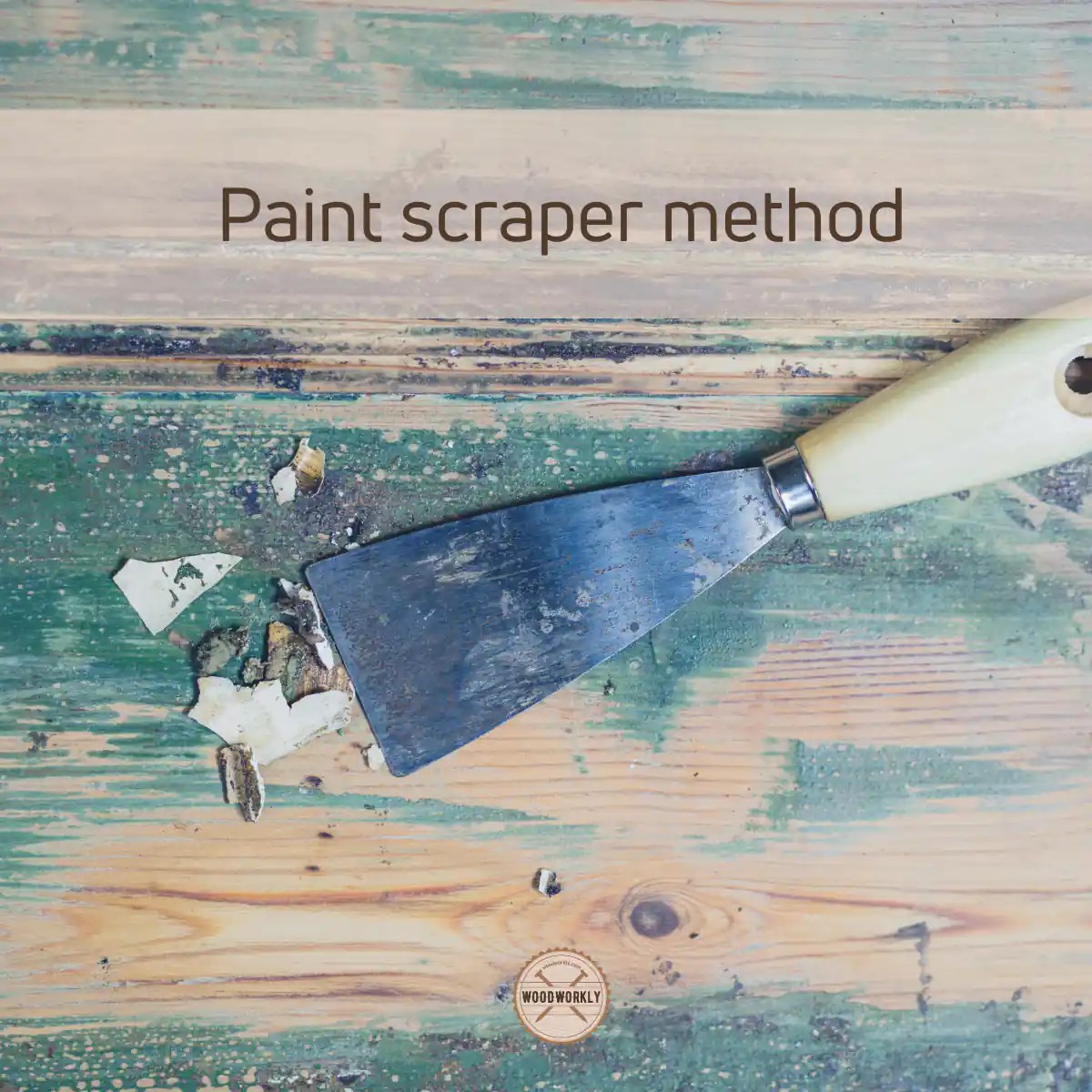 How to Get Spray Paint Off Wood? 14 EASY Ways! (2024)