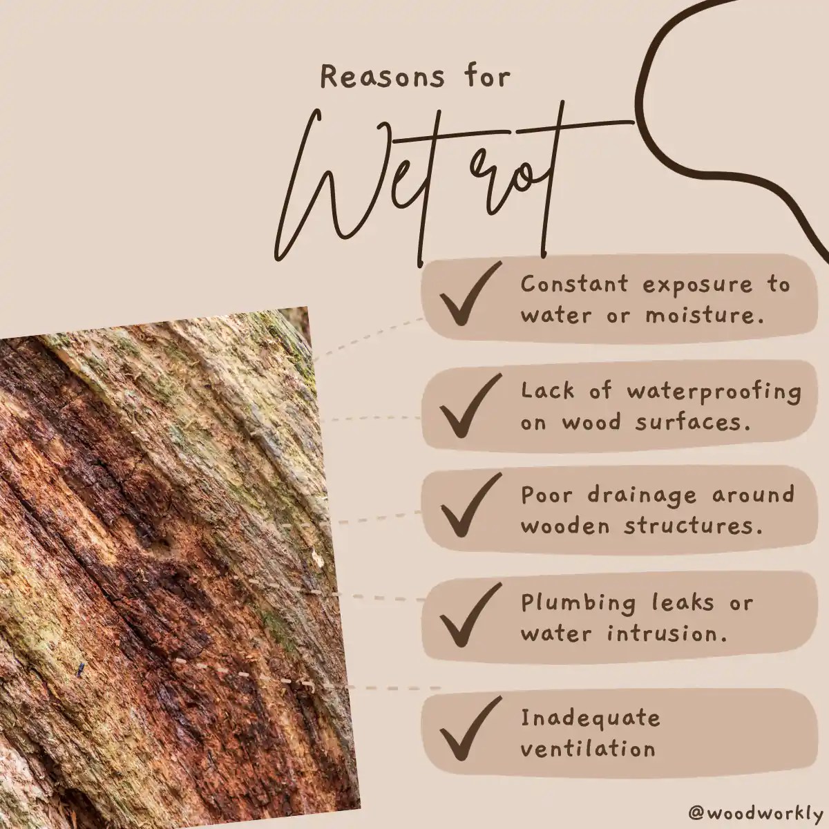 How to Tell if Wood is Rotten (Signs and Easy Fixes!) 2024