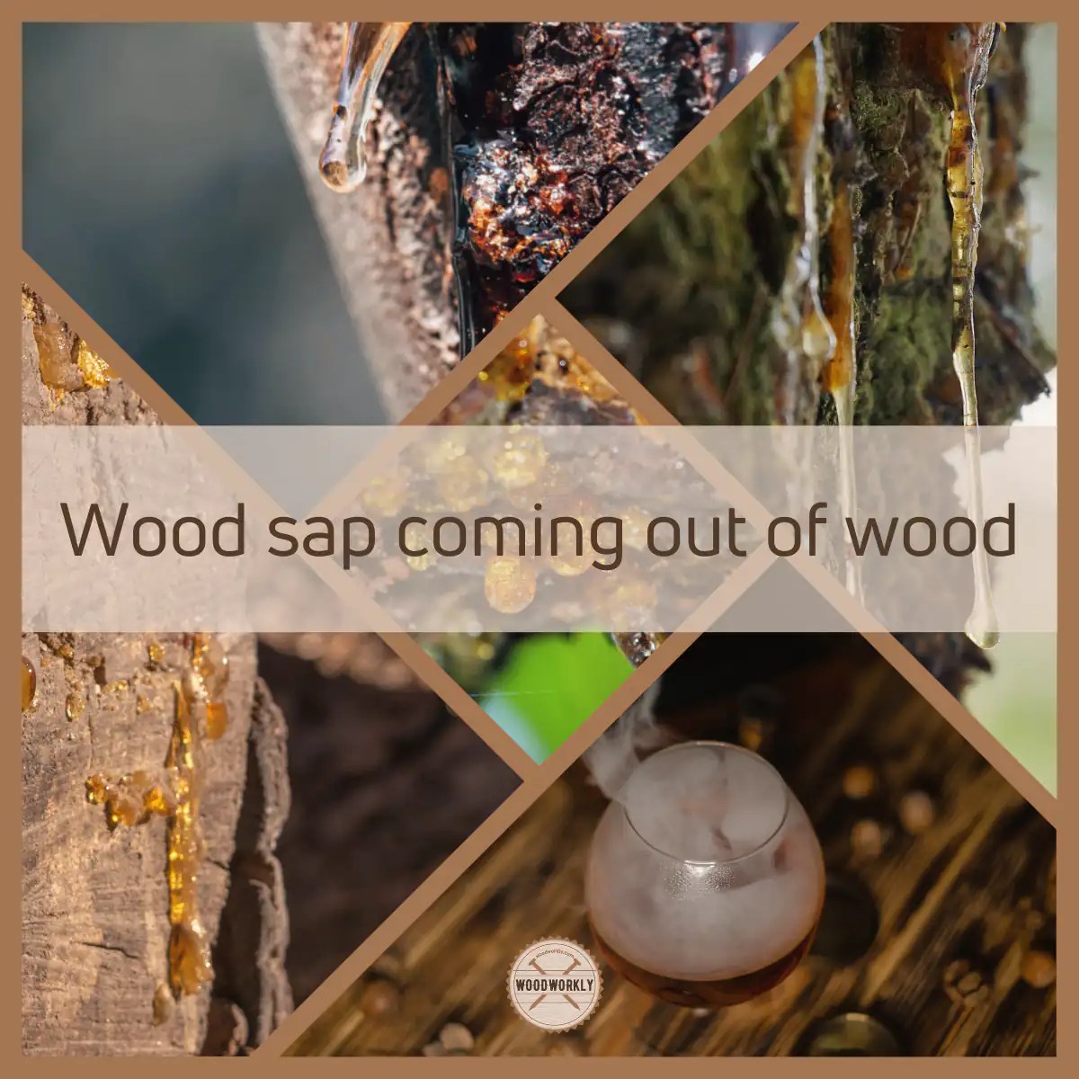How to Stop Sap from Coming Out of Wood (5 EASY Steps!)