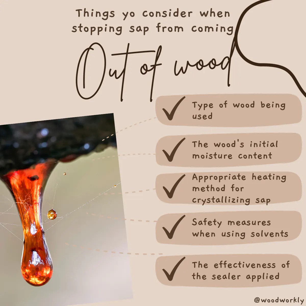 How to Stop Sap from Coming Out of Wood (5 EASY Steps!)