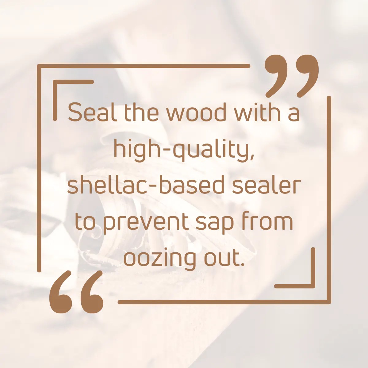 How to Stop Sap from Coming Out of Wood (5 EASY Steps!)