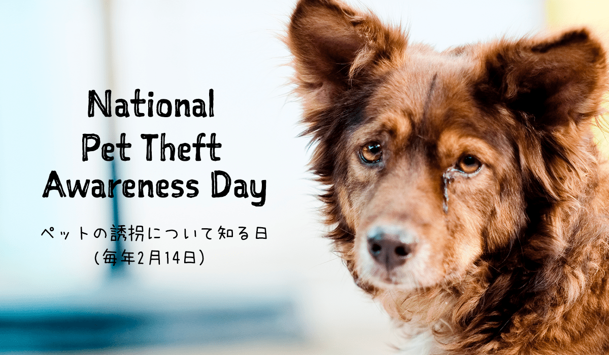 ペットの誘拐について知る日（National Pet Theft Awareness Day）〜毎年2月14日 the WOOF イヌメディア