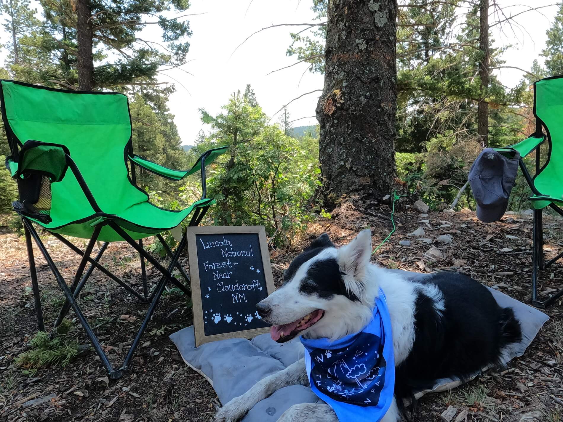 Free Dispersed Camping In Lincoln National Forest