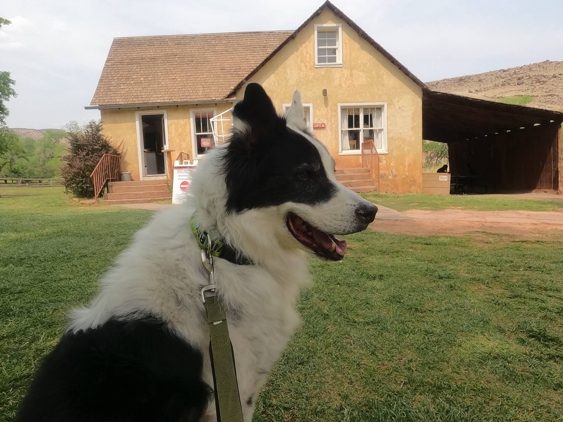 Gifford House Pie Heaven In Capitol Reef National Park