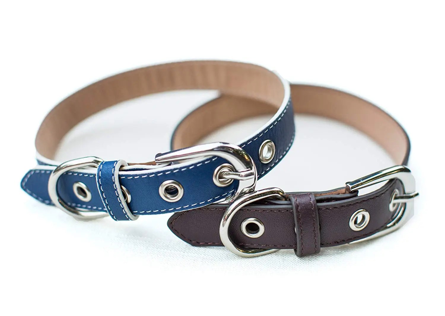 Best Dog Collars Reviewed for Durability and Style Woof Whiskers