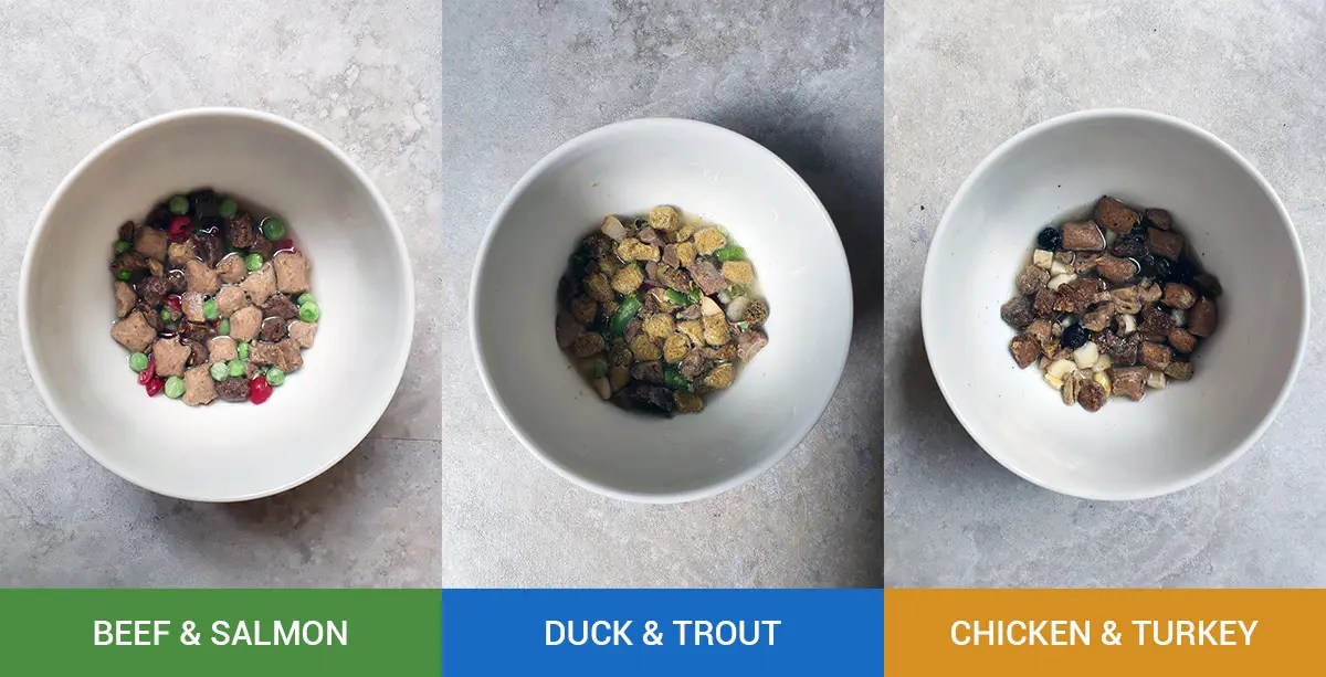 Simple Food Project Reviews (2024)