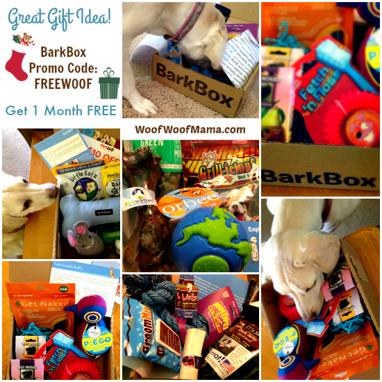 Give Your Dog the Gift of BarkBox + Get an Extra Month for FREE! Woof