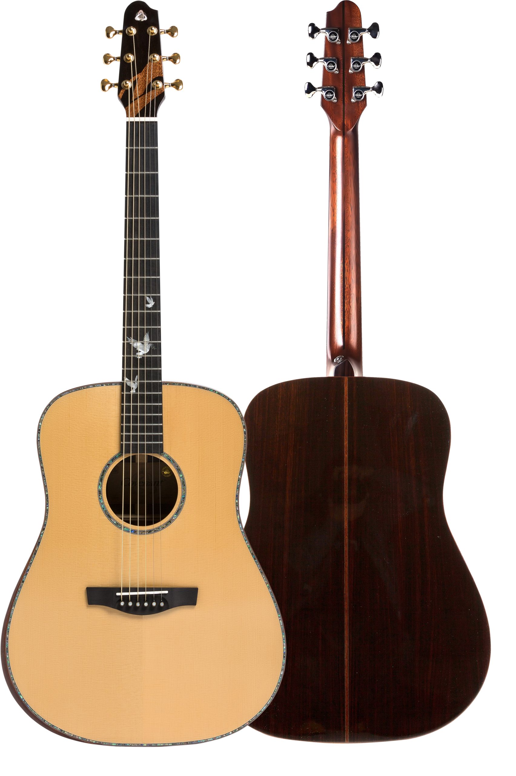 Unlocking the World of Guitar A Beginner's Roadmap