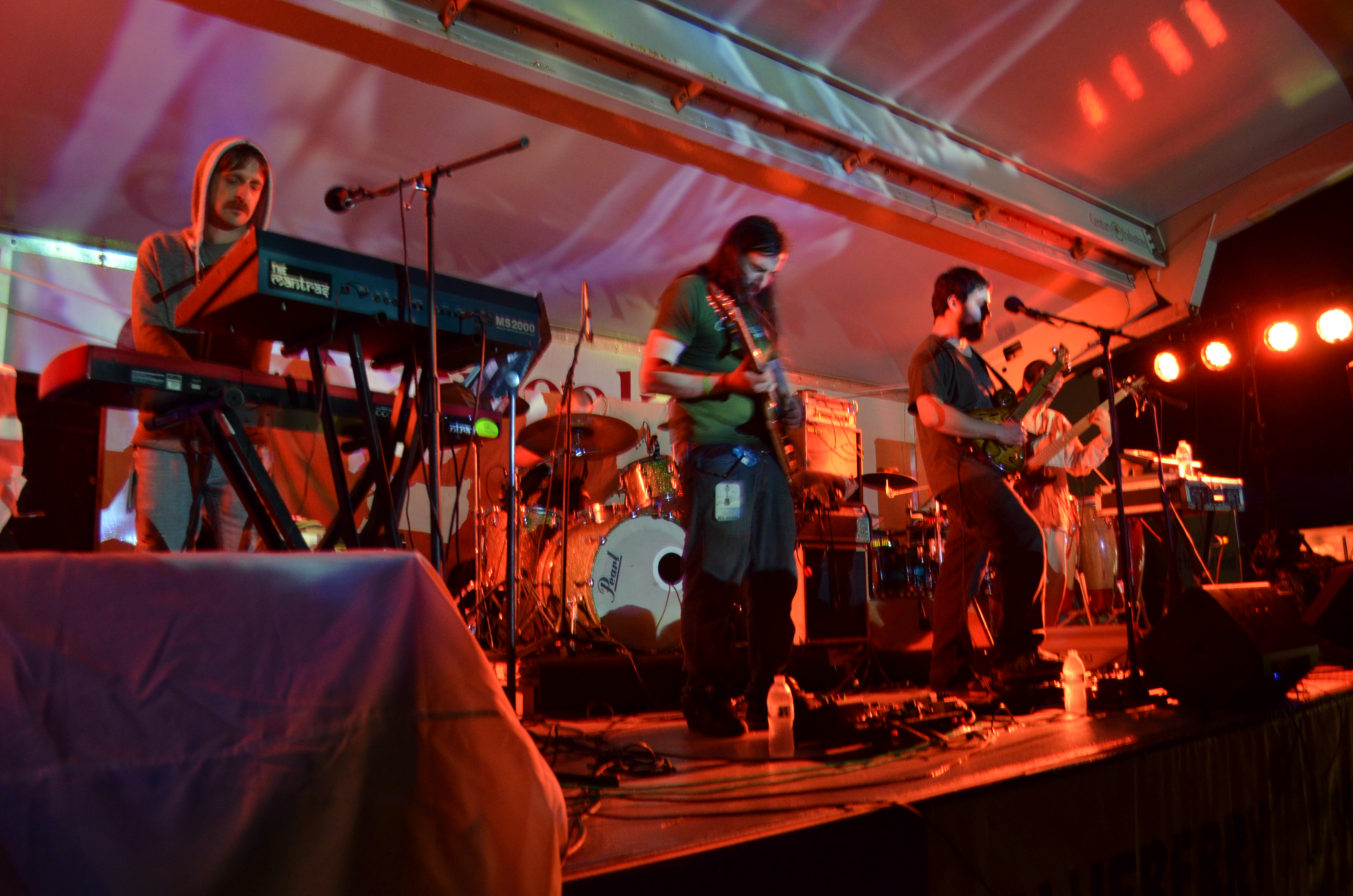 Blueberry Jam Festival Review wookiepost