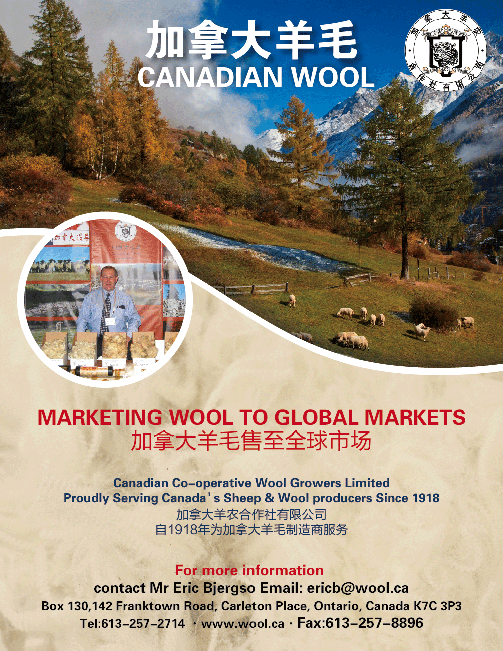 Canadian wool for China wool buyers Canadian Cooperative Wool