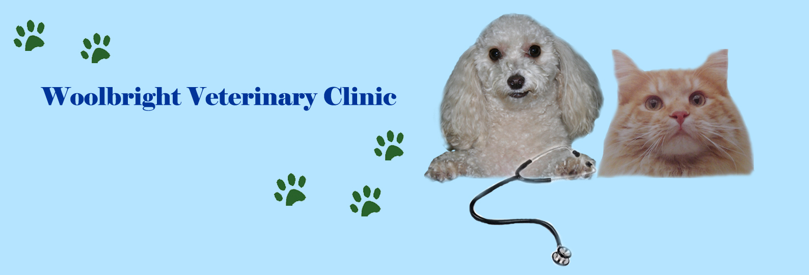 WoolBright Veterinary Clinic