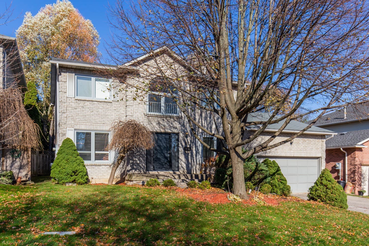 81 Jerome Park Drive WOOLCOTT